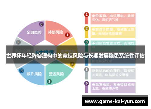 世界杯年轻阵容建构中的竞技风险与长期发展隐患系统性评估