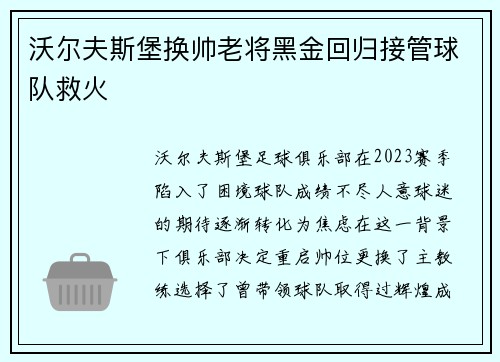 沃尔夫斯堡换帅老将黑金回归接管球队救火