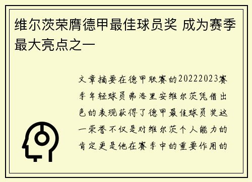维尔茨荣膺德甲最佳球员奖 成为赛季最大亮点之一